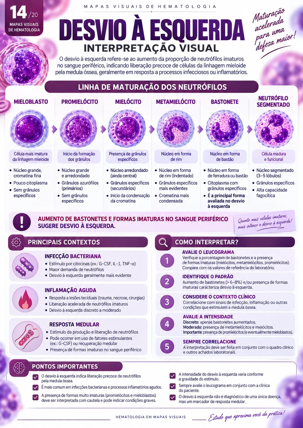 Desvio à Esquerda — Interpretação Visual