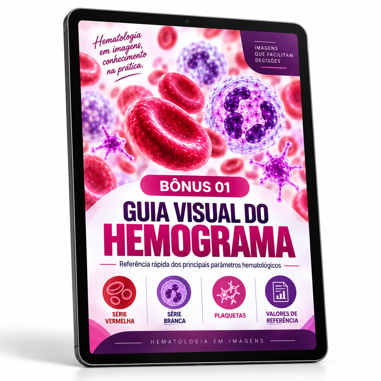 Bônus 1 — Guia Visual do Hemograma